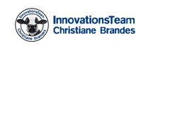 InnovationsTeam Christiane Brandes