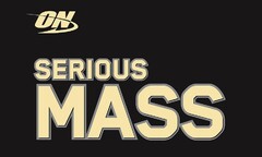 ON SERIOUS MASS