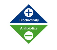 +Productivity Antibiotics-