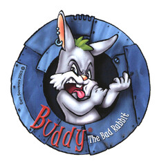 Buddy The Bad Rabbit