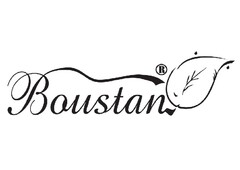 Boustan