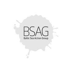 BSAG Baltic Sea Action Group
