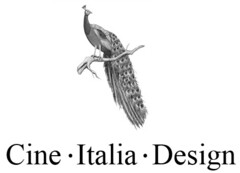 CINE ITALIA DESIGN