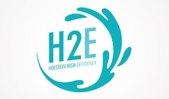 H2E HOLSTEIN HIGH EFFICIENCY
