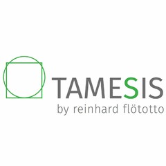 TAMESIS by reinhard flötotto