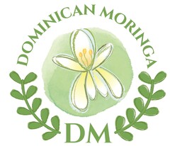 DOMINICAN MORINGA DM