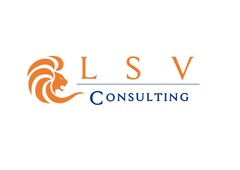 LSV CONSULTING