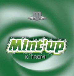 Mint'up X-TREM