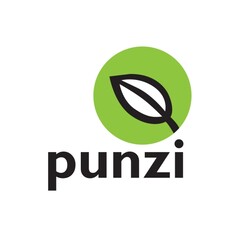 punzi