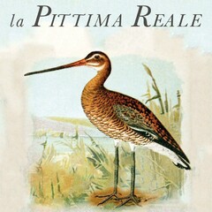 la Pittima Reale