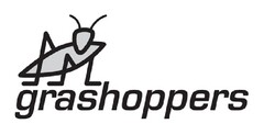 Grashoppers