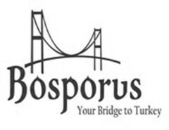 Bosporus Your Bridge to Turkey