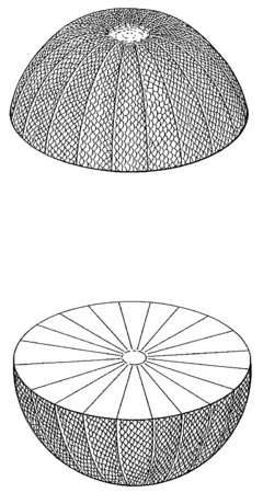 The representations are different views of the same 3-dimensional shape.