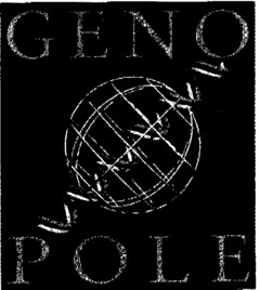 GENO POLE