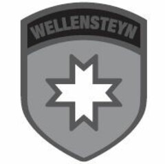 WELLENSTEYN