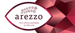 arezzo mini cherry tomatoes on the vine