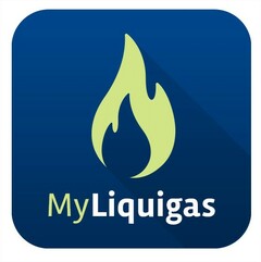 MyLiquigas