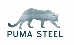 PUMA STEEL