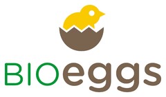 BIOeggs