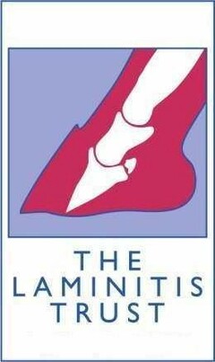 THE LAMINITIS TRUST