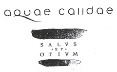 aquae calidae SALVS ET OTIVM
