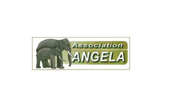 Association ANGELA