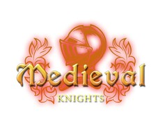 MEDIEVAL KNIGHTS