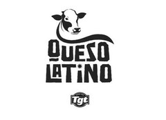 QUESO LATINO Tgt