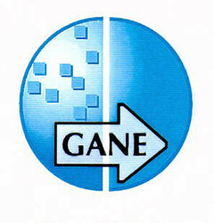 GANE