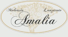 Malvasía Lanzarote Amalia