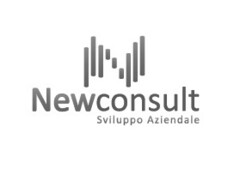 Newconsult Sviluppo Aziendale