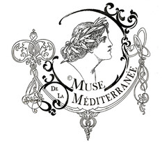 MUSE DE LA MEDITÉRRANEÉ