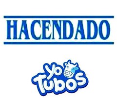 HACENDADO YOTUBOS
