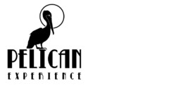 PELICAN EXPERIENCE