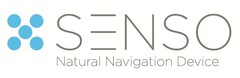 SENSO Natural Navigation Device