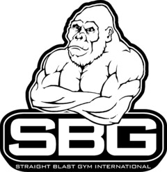 SBG, Straight Blast Gym International