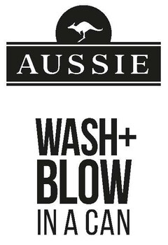 AUSSIE WASH + BLOW IN A CAN