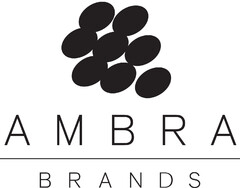 AMBRA BRANDS
