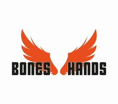 BONES HANDS