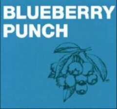 BLUEBERRY PUNCH
