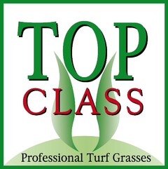 TOP CLASS Professional Turf Grasses