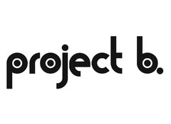 project b.