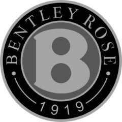 BENTLEY ROSE 1919