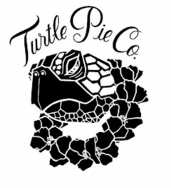 TURTLE PIE CO.