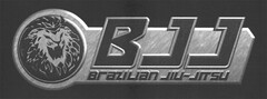 BJJ BRAZILIAN JIU-JITSU