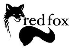 red fox