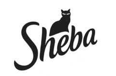 Sheba