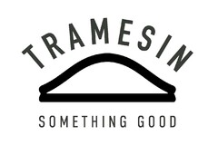 TRAMESIN SOMETHING GOOD