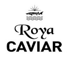 Roya CAVIAR