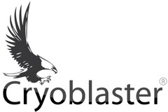 Cryoblaster